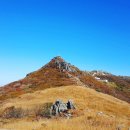 제48회 11월 정기산행 (무등산.안양산 백마능선) 이미지