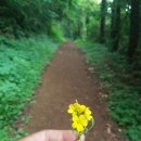 스테이오름 민박 이미지