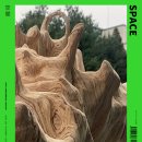 세운버스㈜ 이미지