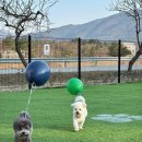 뭉개뭉개인강릉 이미지