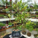 가미유통 이미지