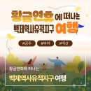 (주)삼보국제 | 5월 황금연휴에 떠나는 백제역사유적지구 여행🚗 #공주 #부여 #익산