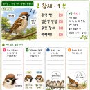 관찰 연작 짬동시 활동지 「참새 1」 이미지
