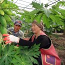 부농농장 이미지