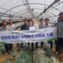 충북청과
