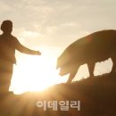 돈다산농장 이미지
