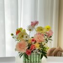 소예플레르 이미지
