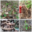 천지인농장 이미지