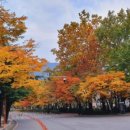 코인스동전노래연습장 이미지