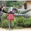 경주농원 이미지