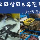 덕화상회 이미지