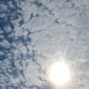 금관1리 이미지