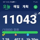 12,12 사태 날의 걷기 이미지