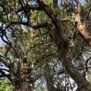 빙도마을 이미지