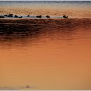 새봉낚시터 이미지