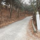 오산렌트카 이미지