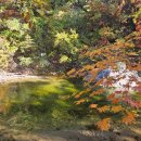 꿈꾸는 계곡펜션 이미지