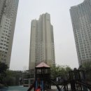 판교동629-4 이미지
