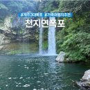 제주 천지연 담팔수 자생지 | 제주도 추석 가족여행 추천 제주 천지연폭포 가는길 주차 입장료