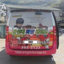 용인대 화랑 태권도 이미지