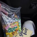 화련회관 앞 횡단보도 | 전남대학교 정치외교학과 의회정치 현장학습(국회 견학) 후기