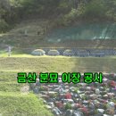 금산장의사
