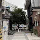 퍼시먼트(PERSIMMONT)