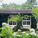 아미미술관 Daum카페