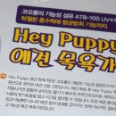 코오롱애견 이미지