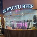 분당-260 | [분당] 260도 분당점 소고기 내돈내산 솔직 후기 (매니아 스페셜, 분위기, 메뉴, 서비스까지 완벽 분석)