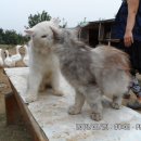 우리농장2 이미지