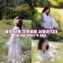 서광리-28 네이버블로그
