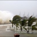 태풍민박 이미지