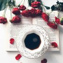 현일이네 이미지