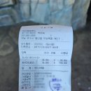 여수예술랜드 조각공원 전망대 미디어아트 입장권 내돈내산 후기