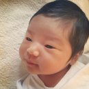버딩투어 | 곽생로 출산후기/40주3일/초산/자연주의출산+르봐이예분만+자연분만+관장X,제모X,절개X,촉진제X,무통X