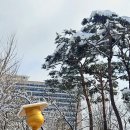 버거운버거국민대점 이미지