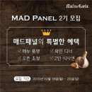 브렌드패널 이미지