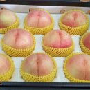 철호농장 이미지