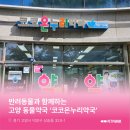 코코온누리약국 네이버블로그