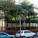 벌말로50번길 이미지