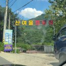 대구근교 계곡 물놀이를 즐길수있는 밀양 산여울캠핑장
