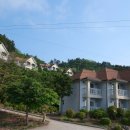 울릉도 산들바다 Daum카페