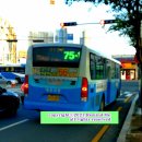 원산마을(술인방) 이미지