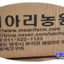 메아리농원 이미지