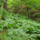 산방환담 이미지