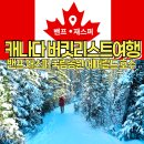 주식회사 그라지타운 | 캐나다 밴프 여행 재스퍼 에머랄드 호수 인생 버킷리스트 여행 후기 최고의 숙박 추천