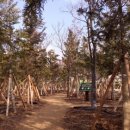 뚝섬한강공원-17 이미지