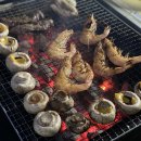 자연의 꿈 이미지