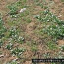 경락농장 이미지